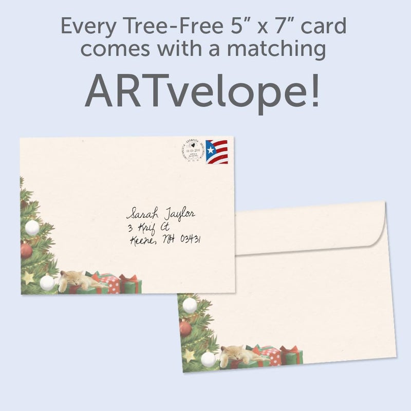 Tree-Free Greetings Christmas Cards and Envelopes, Set of 10, 5 x 7, Cat Nap Santa (HB93213) - Image 3